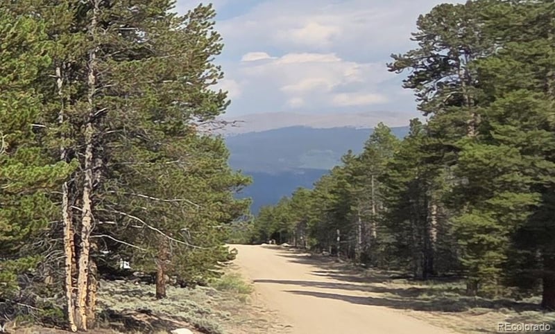455 Spruce Dr, Leadville, CO 80461