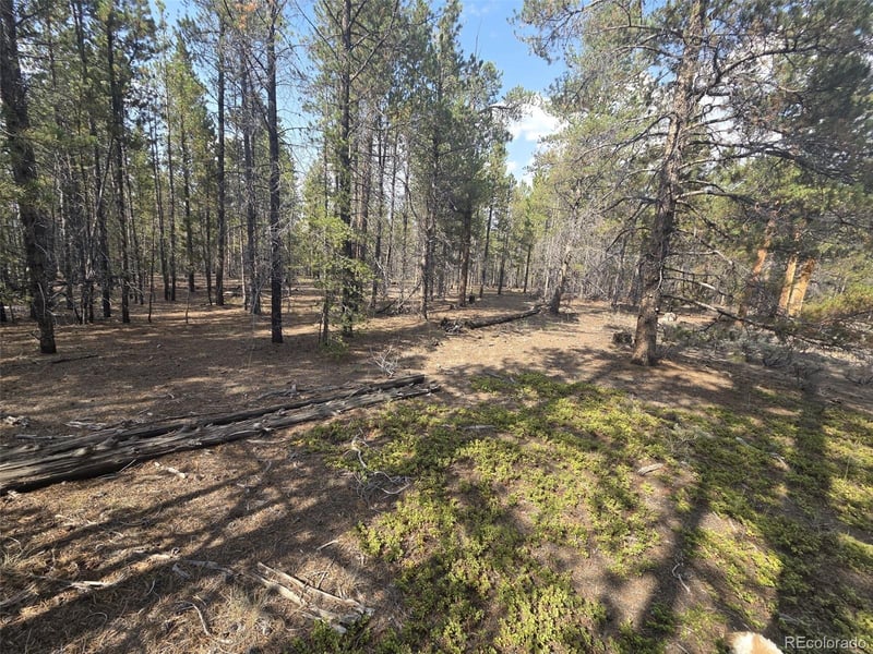 455 Spruce Dr, Leadville, CO 80461