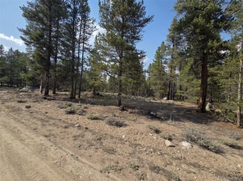 455 Spruce Dr, Leadville, CO 80461