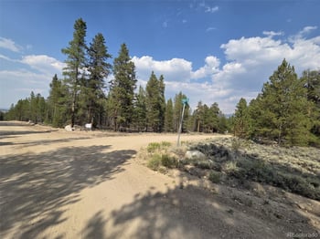 455 Spruce Dr, Leadville, CO 80461