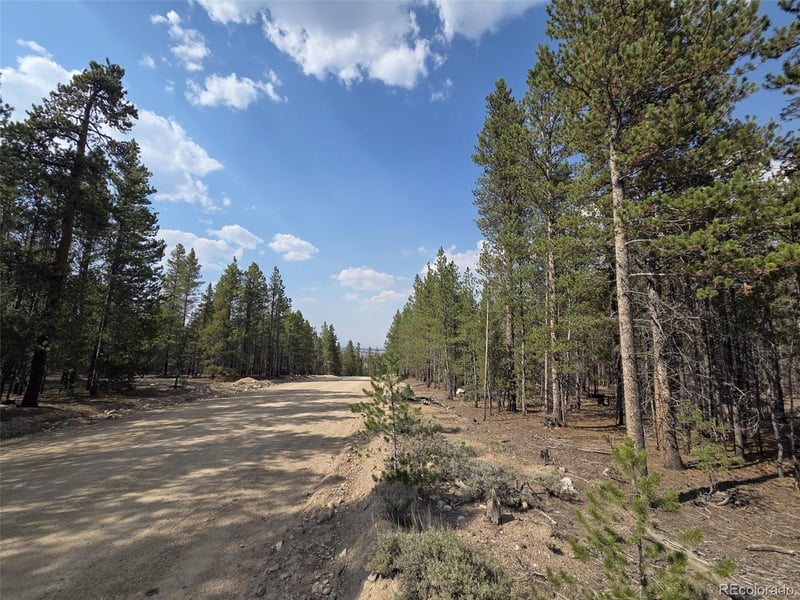 455 Spruce Dr, Leadville, CO 80461