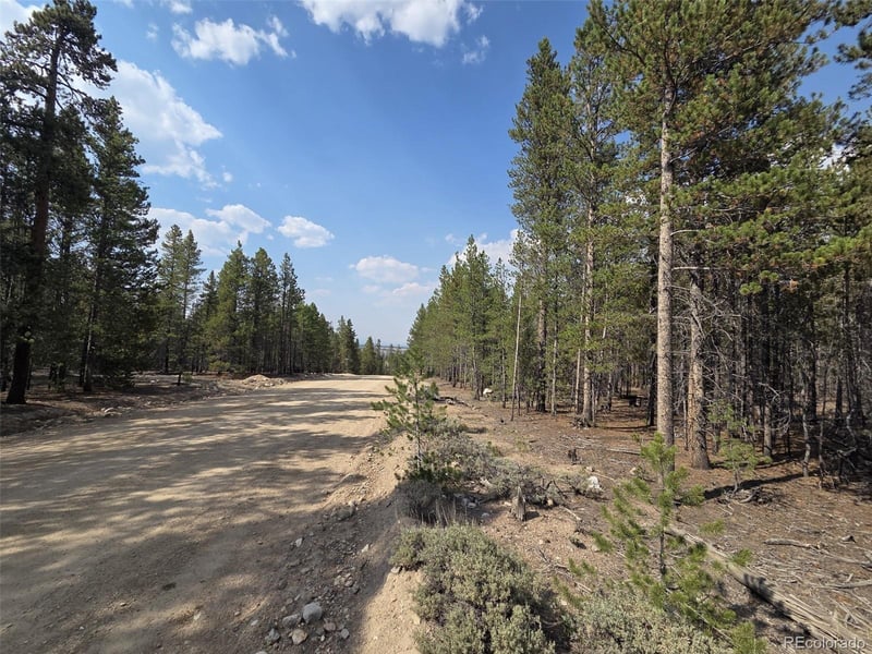 455 Spruce Dr, Leadville, CO 80461