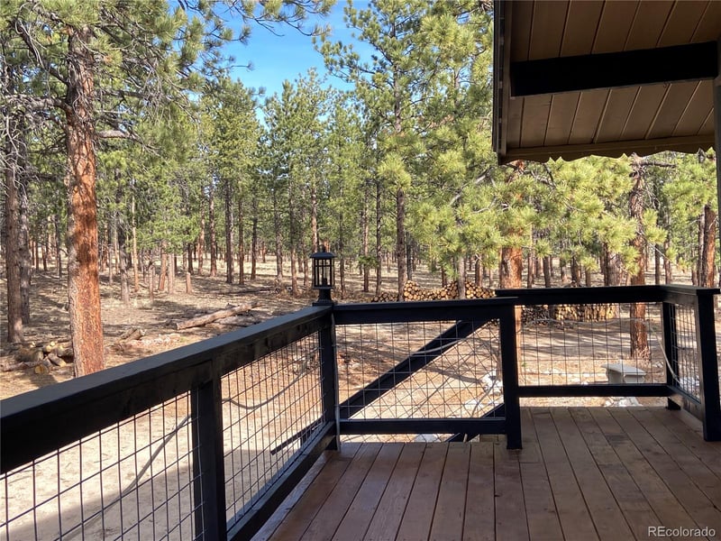 16165 Burt Gulch Rd, Buena Vista, CO 81211