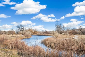 12213 57th Ln, Arvada, CO 80002