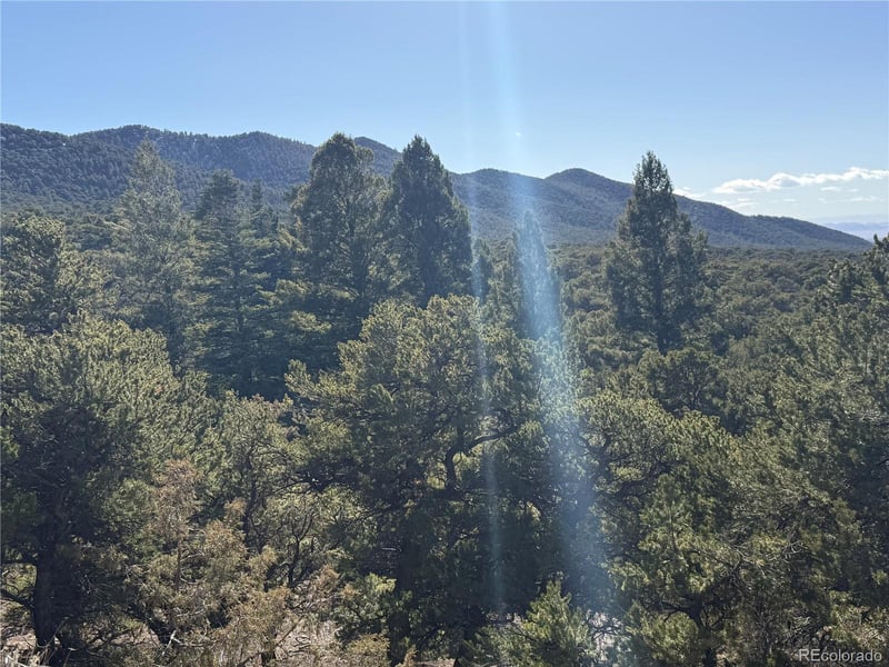 Lots 2045-2047 Pfotenhaur Rd, Fort Garland, CO 81133