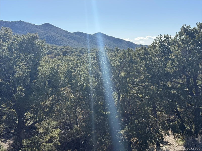 Lots 2045-2047 Pfotenhaur Rd, Fort Garland, CO 81133