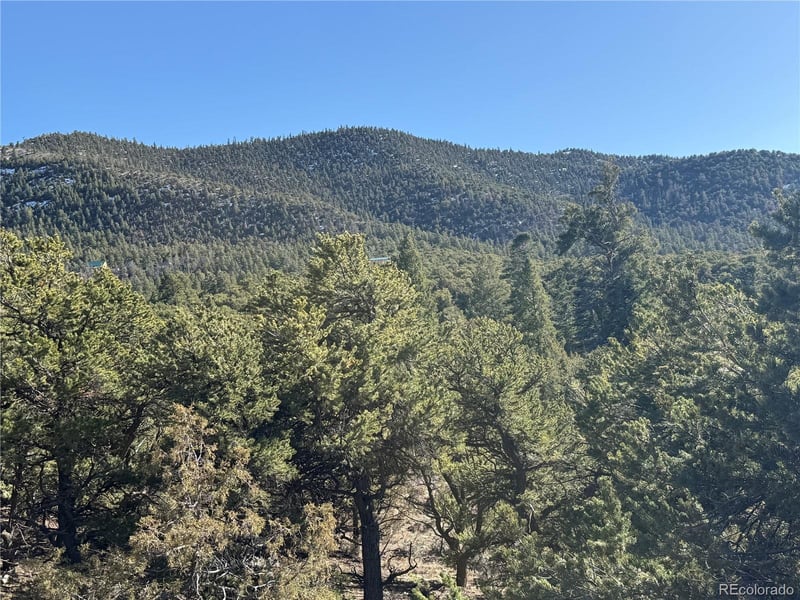 Lots 2045-2047 Pfotenhaur Rd, Fort Garland, CO 81133