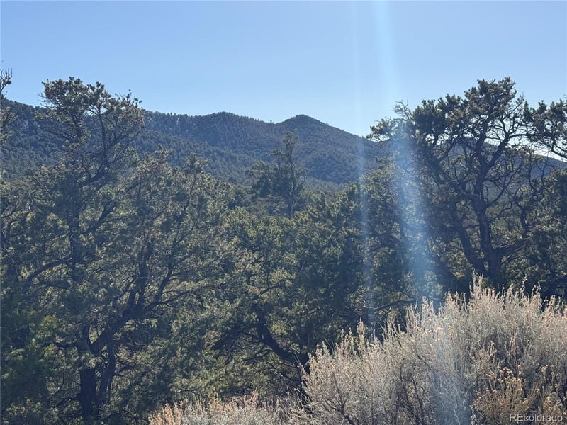 Lots 2045-2047 Pfotenhaur Rd, Fort Garland, CO 81133