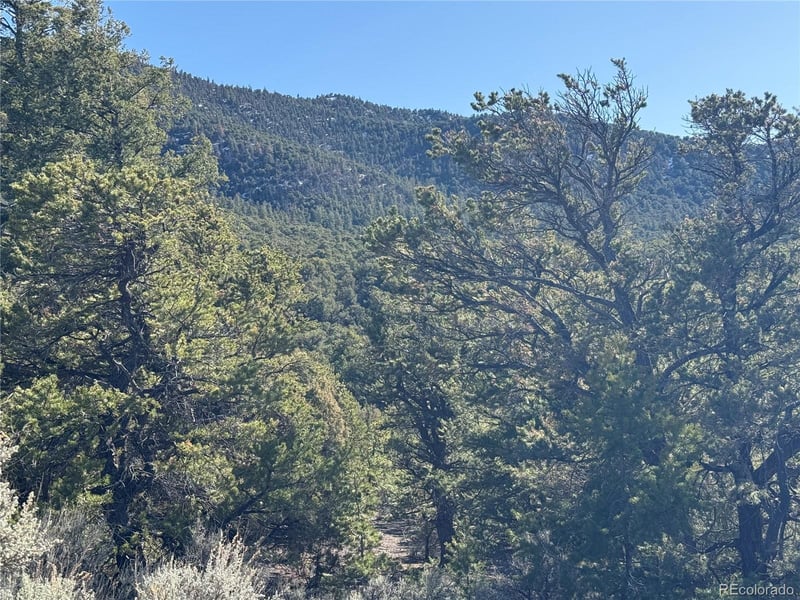 Lots 2045-2047 Pfotenhaur Rd, Fort Garland, CO 81133