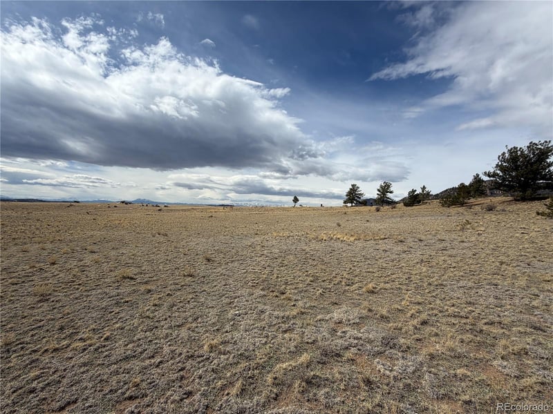 74 Craig Ln, Hartsel, CO 80449