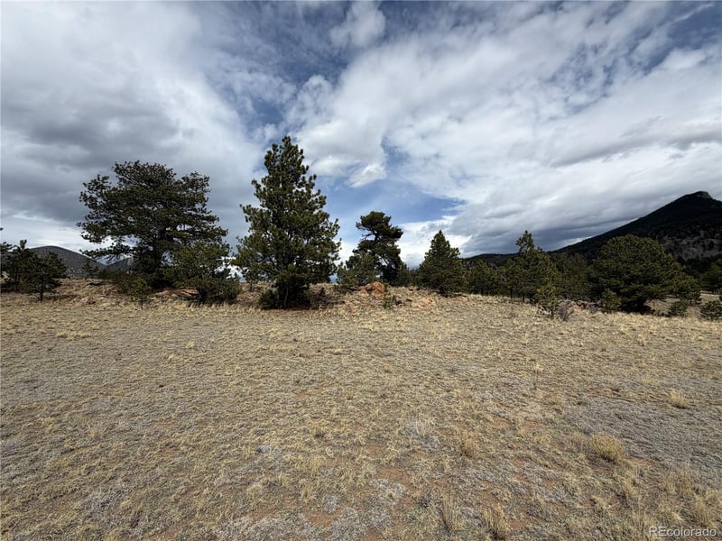 74 Craig Ln, Hartsel, CO 80449