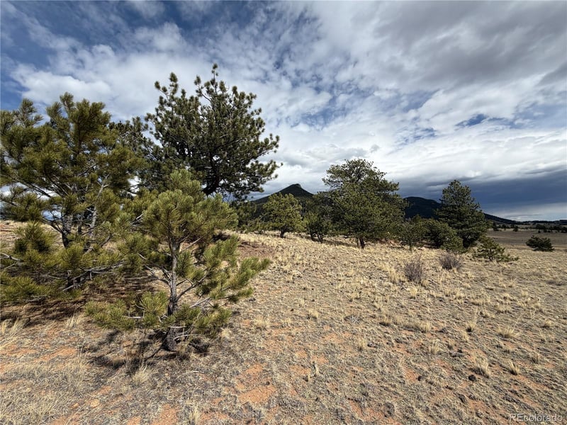 74 Craig Ln, Hartsel, CO 80449