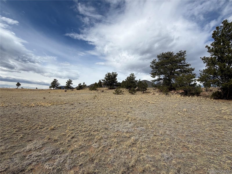 74 Craig Ln, Hartsel, CO 80449