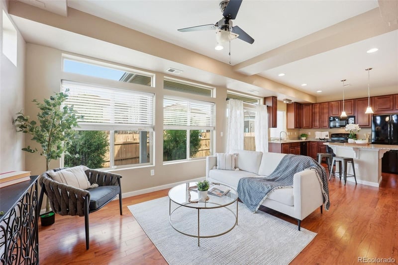 4486 Elegant St, Castle Rock, CO 80109