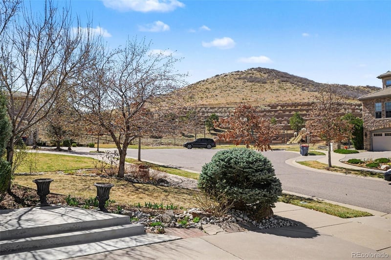 10528 Rivington Ct, Lone Tree, CO 80124