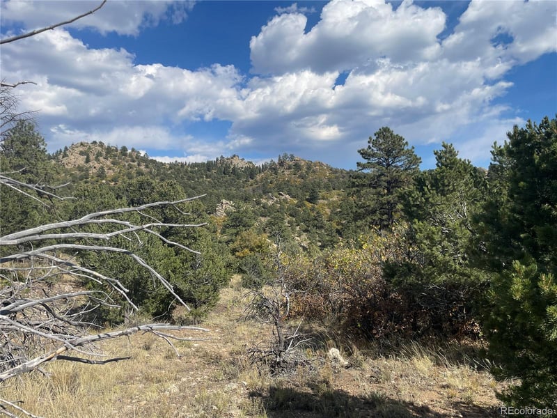 1810 Bird Point Dr, Cotopaxi, CO 81223