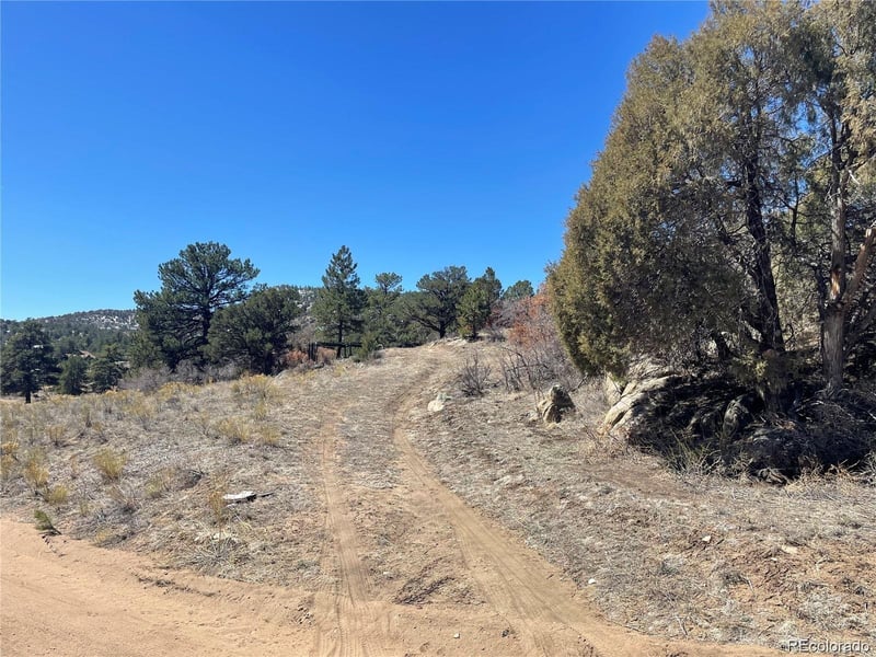 1810 Bird Point Dr, Cotopaxi, CO 81223