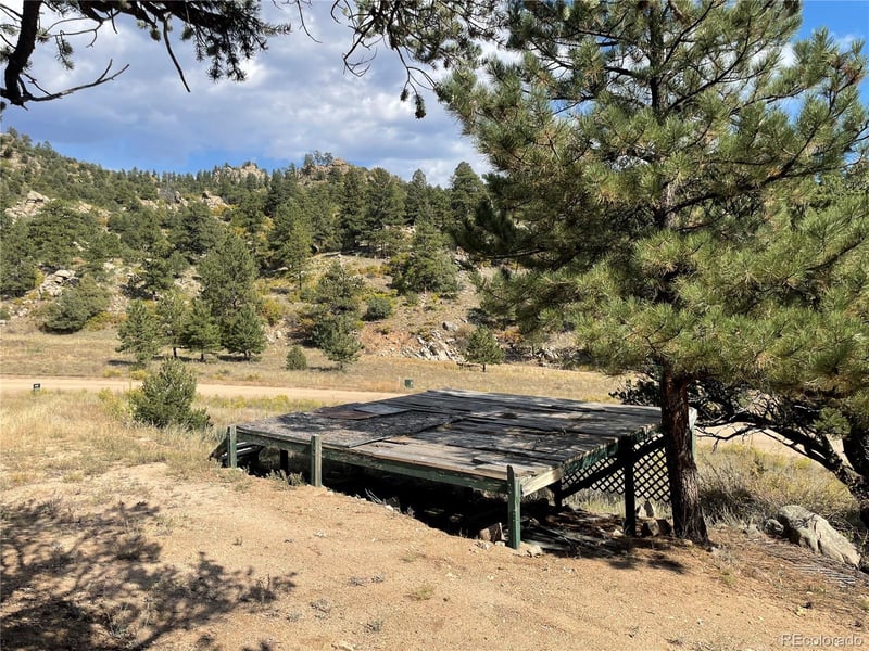 1810 Bird Point Dr, Cotopaxi, CO 81223