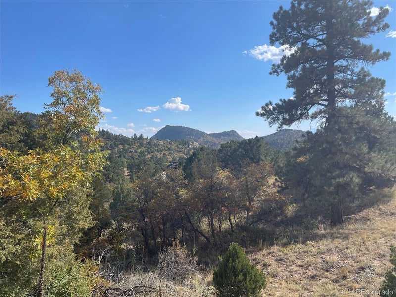 1810 Bird Point Dr, Cotopaxi, CO 81223