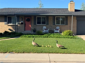 480 Briarwood Dr, Centennial, CO 80122