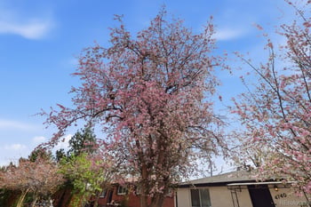 4740 E Jewell Ave, Denver, CO 80222