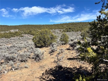 00 Bull Elk Trl, San Luis, CO 81152