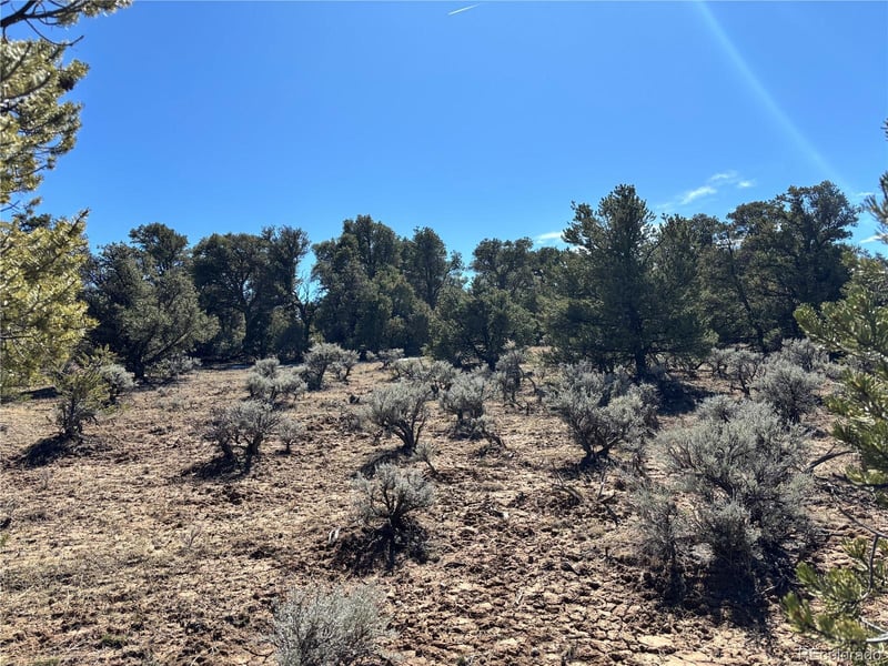 00 Bull Elk Trl, San Luis, CO 81152