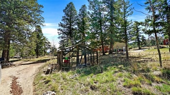 490 Quakie Way, Bailey, CO 80421