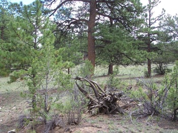 Lot 8 Big Sandy Estaes, Buena Vista, CO 81211