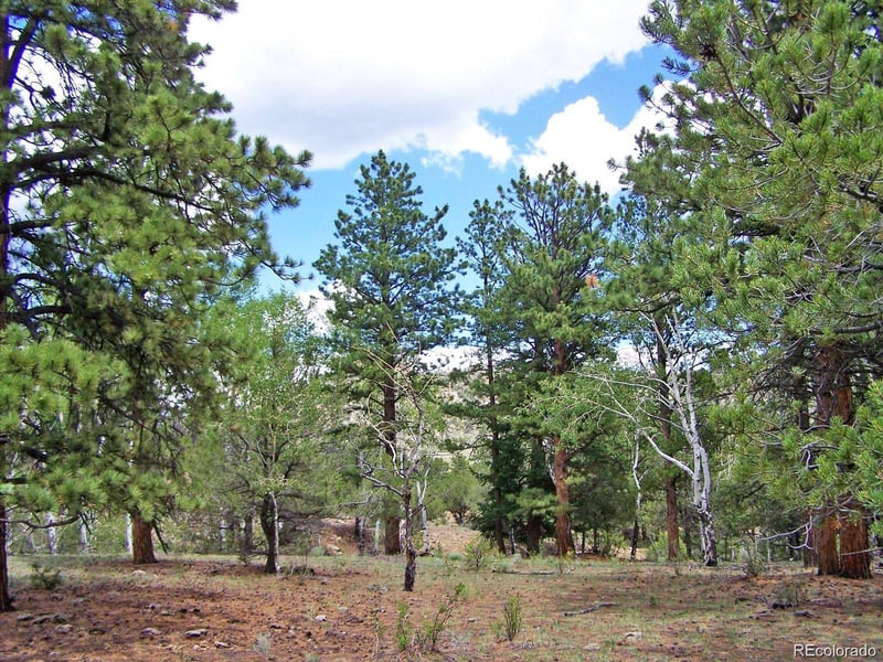 Lot 8 Big Sandy Estaes Lot 8, Buena Vista, CO 81211