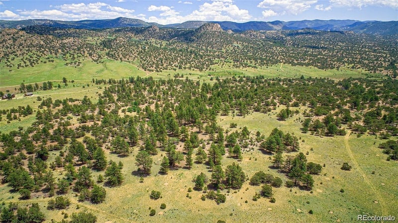 Lot 8 Big Sandy Estaes Lot 8, Buena Vista, CO 81211