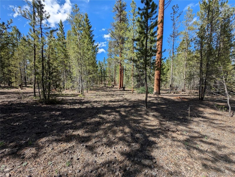 495 Birch Dr, Twin Lakes, CO 81251