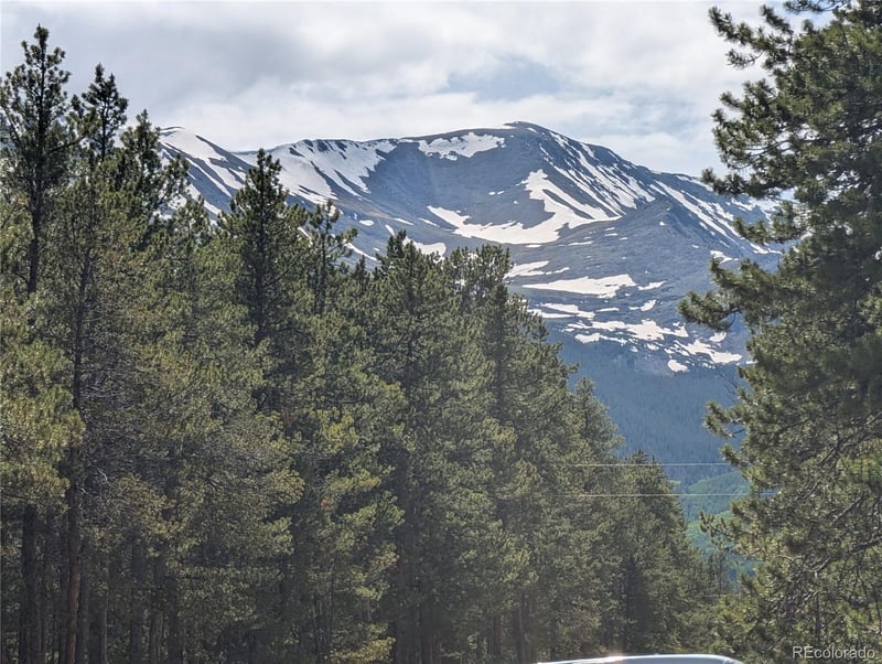 495 Birch Dr, Twin Lakes, CO 81251