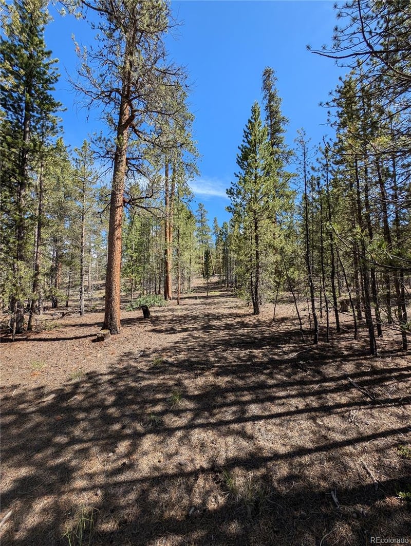 495 Birch Dr, Twin Lakes, CO 81251