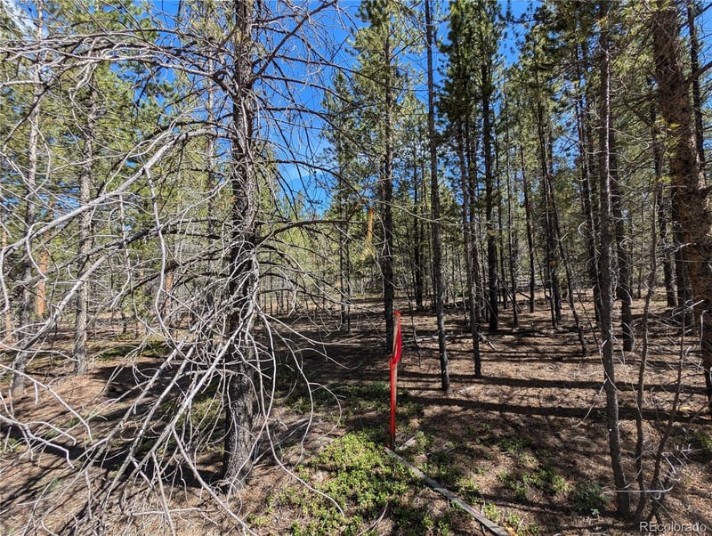 495 Birch Dr, Twin Lakes, CO 81251