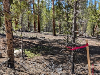 495 Birch Dr, Twin Lakes, CO 81251