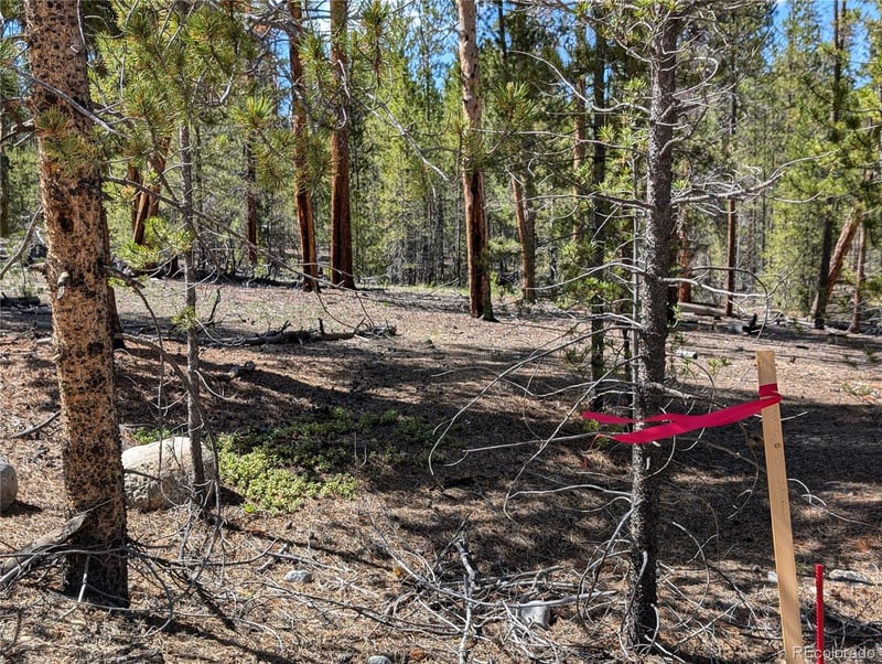 495 Birch Dr, Twin Lakes, CO 81251