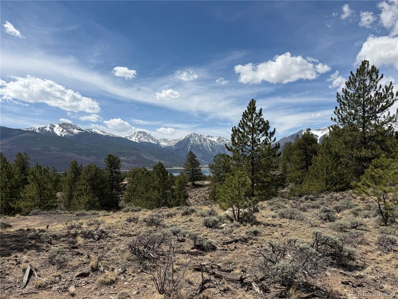 98 Northview Dr, Twin Lakes, CO 81251