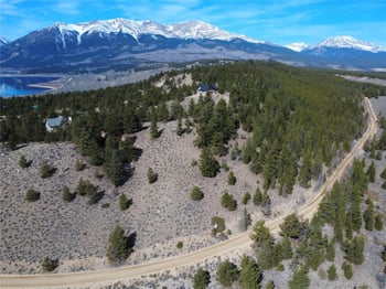 98 Northview Dr, Twin Lakes, CO 81251