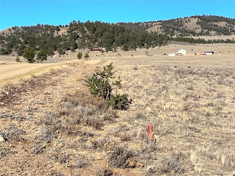 4284 Goldenberg Canyon Rd, Hartsel, CO 80449