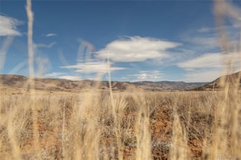 4000 Vista Grande Dr, Creede, CO 81130