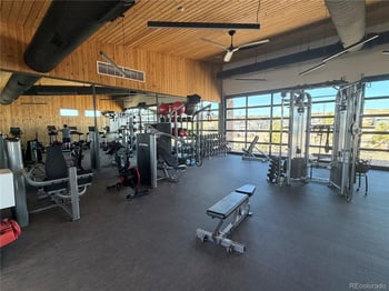 650 Simmental Loop, Castle Rock, CO 80104