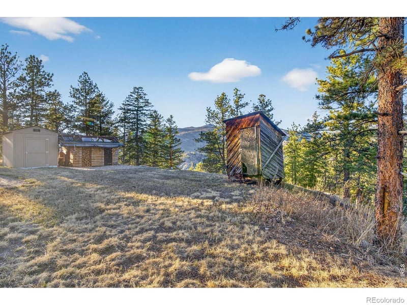 100 Snow Top Dr, Drake, CO 80515
