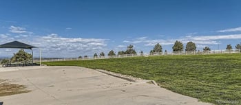 10987 Tundra Top Dr, Parker, CO 80134
