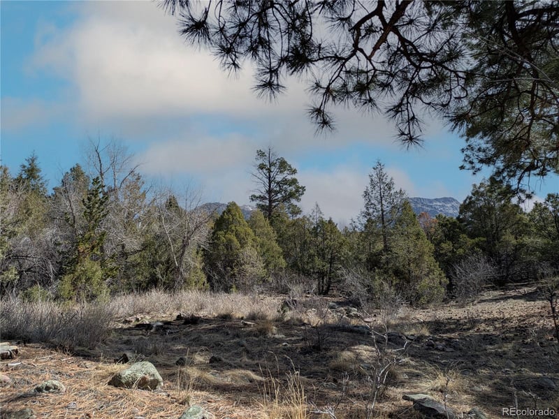 446 Arrowhead Overlook, Crestone, CO 81131