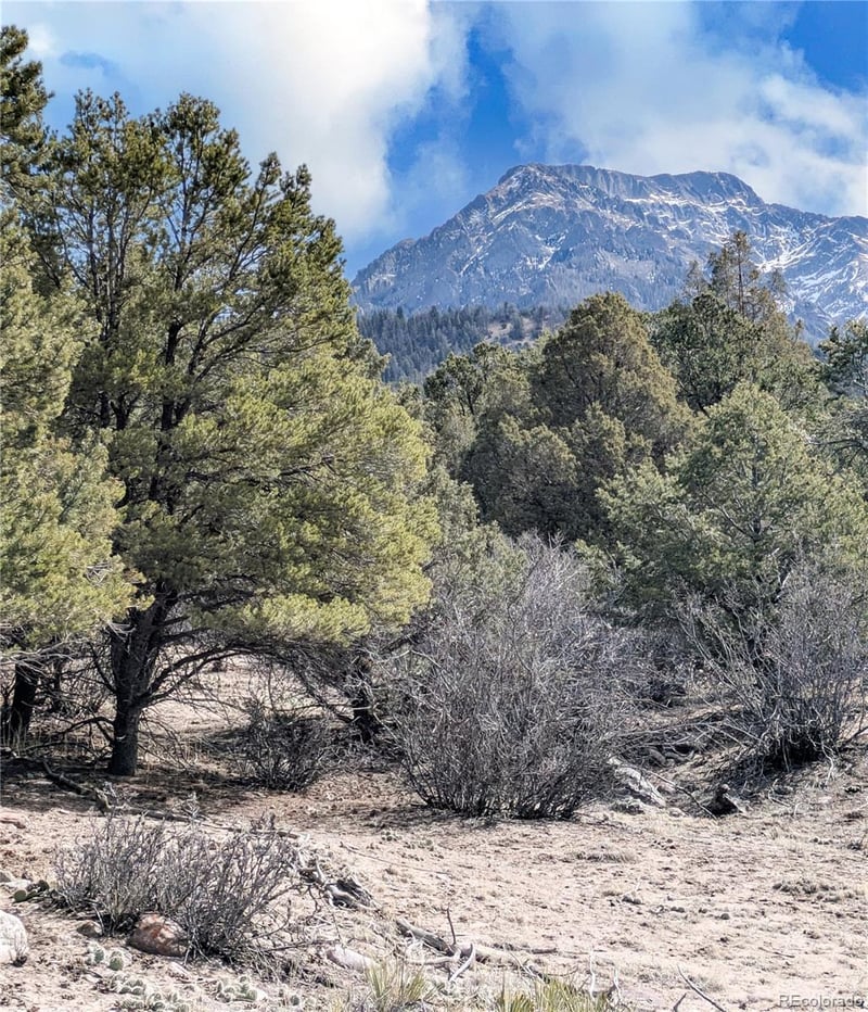 446 Arrowhead Overlook, Crestone, CO 81131