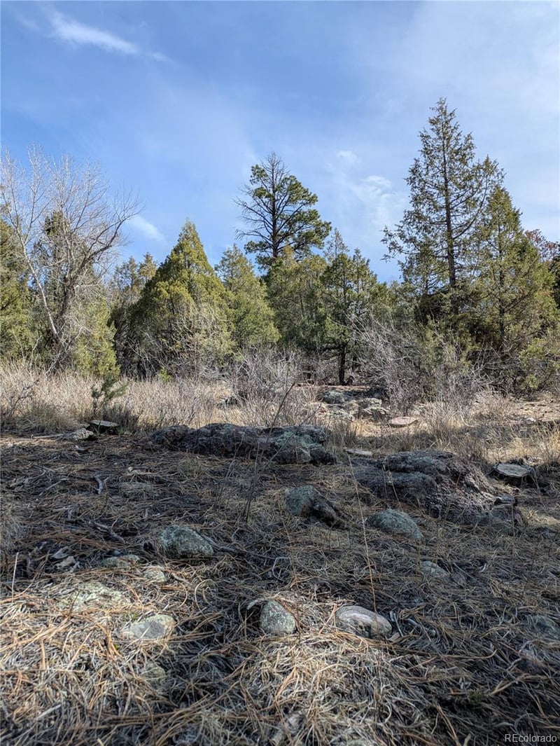 446 Arrowhead Overlook, Crestone, CO 81131