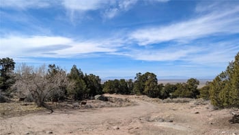 446 Arrowhead Overlook, Crestone, CO 81131