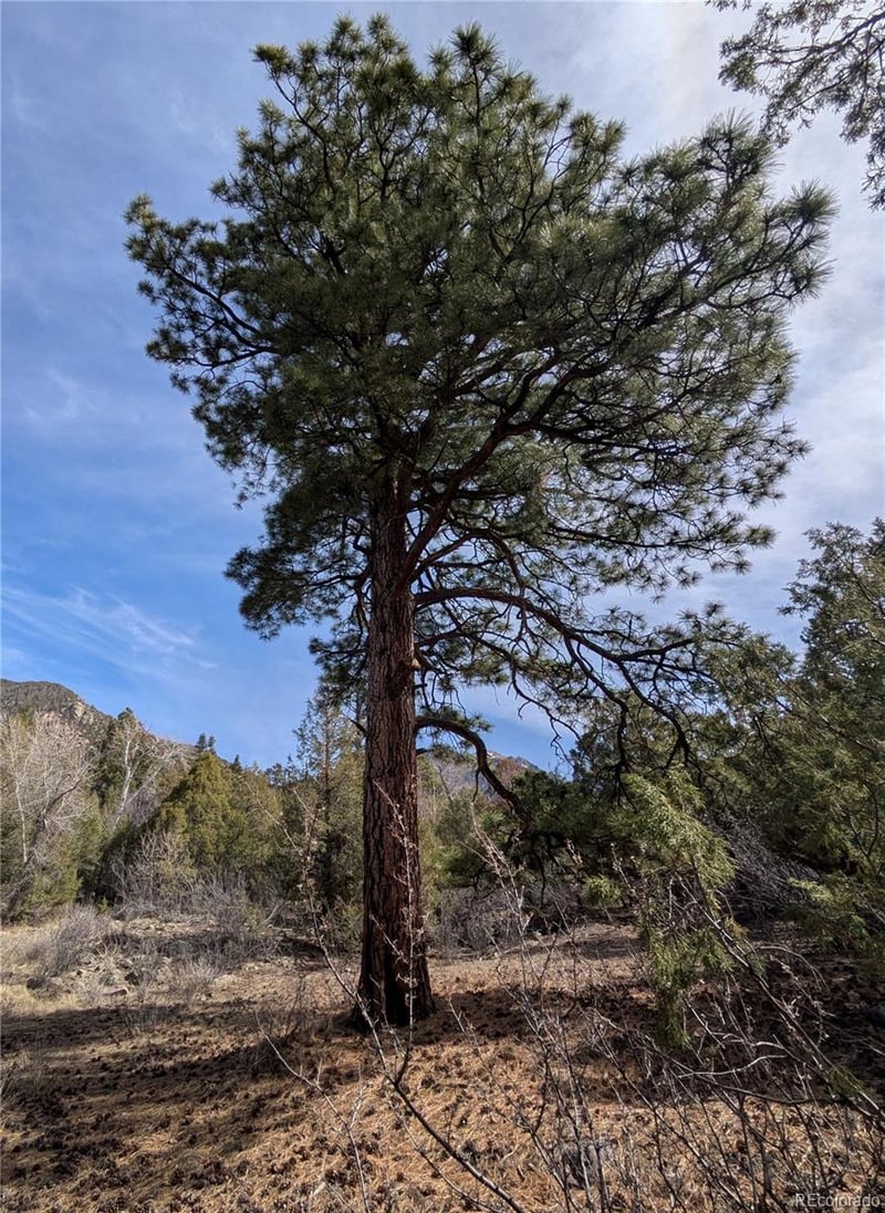 446 Arrowhead Overlook, Crestone, CO 81131