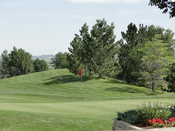 7230 Canberra St Dr, Greeley, CO 80634